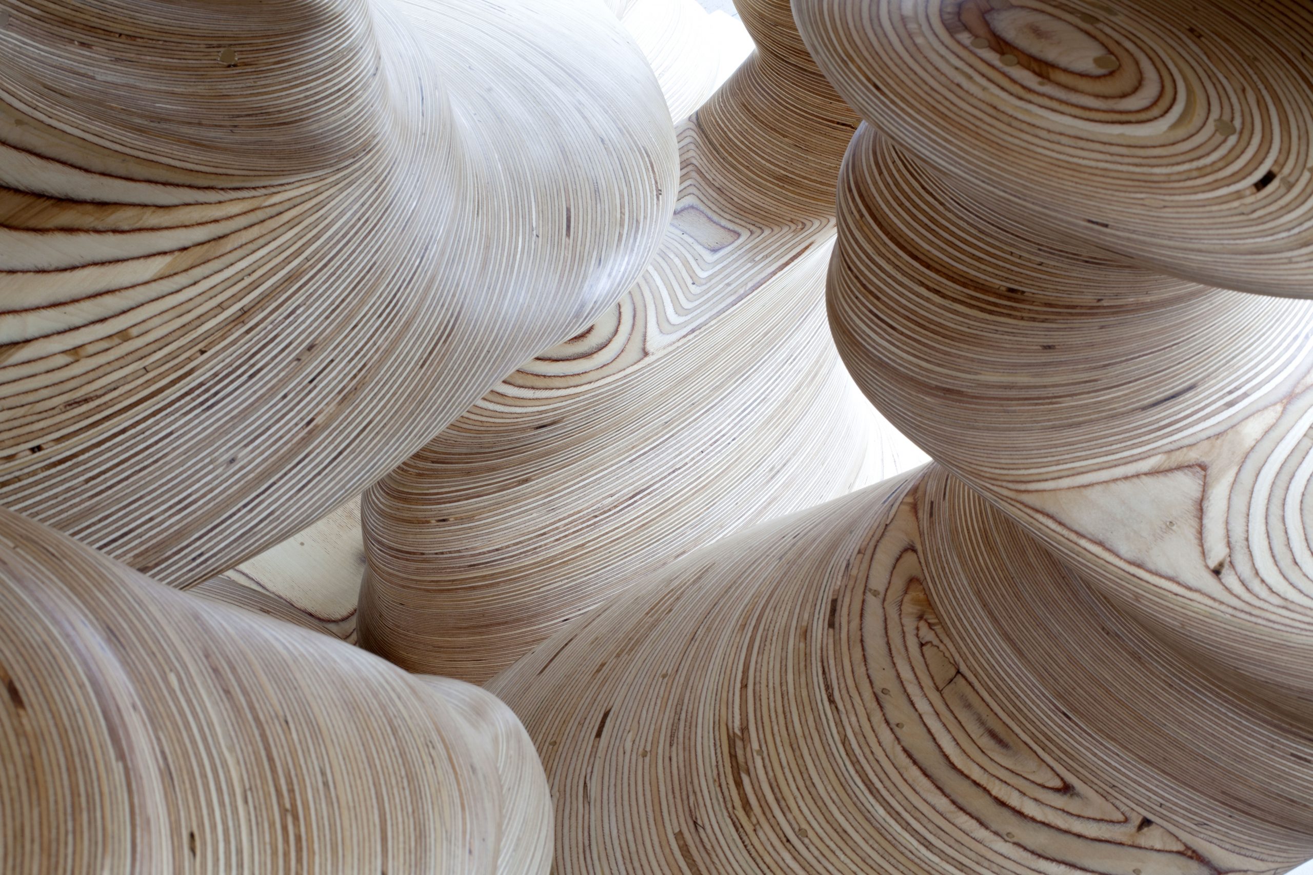 Tony Cragg